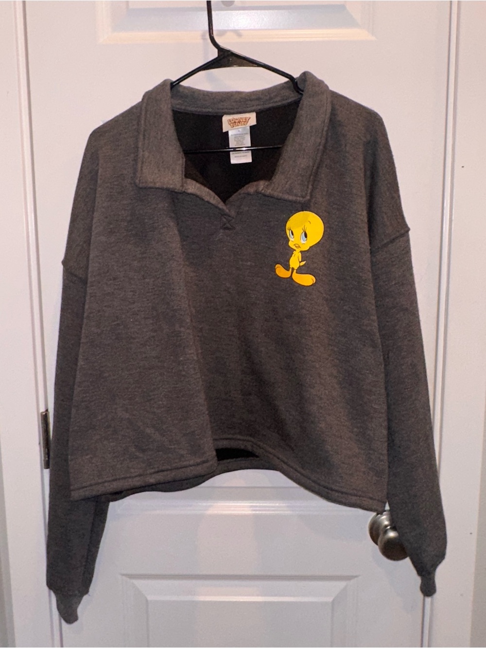 Warner Bros. Charcoal Grey Sweater with Tweety Graphic
